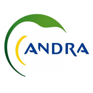 logo-andra-300x300